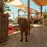 The Fabric Lounge فاراليا