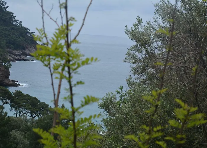 The Fabric Lounge Faralya