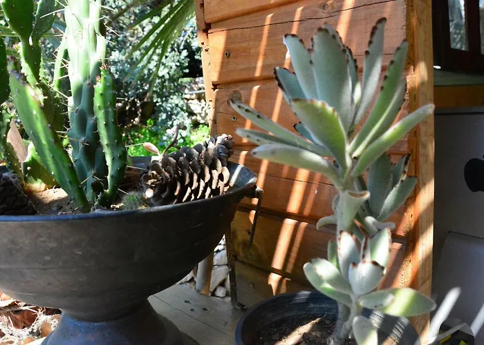 The Fabric Lounge Faralya