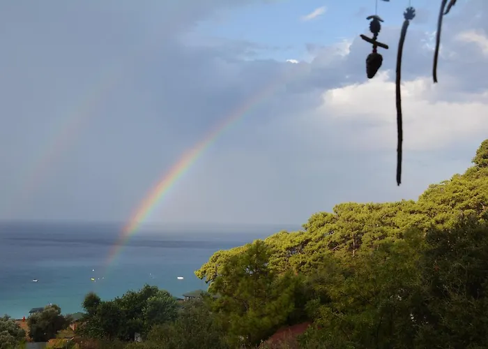 The Fabric Lounge Faralya