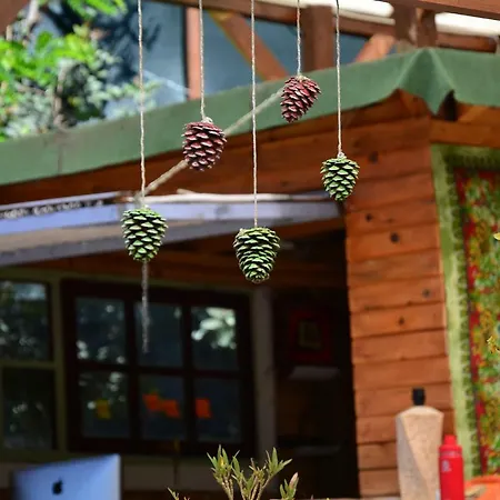 The Fabric Lounge Hotel 2*