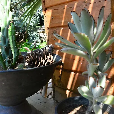 The Fabric Lounge Faralya