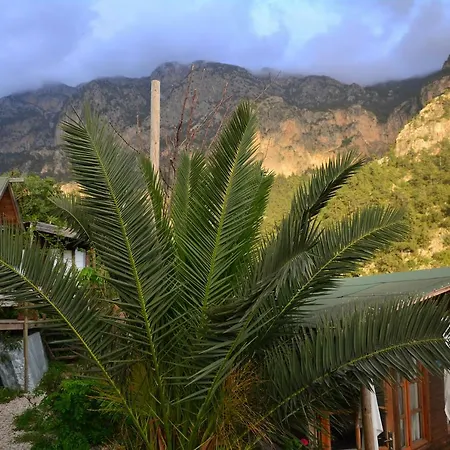 The Fabric Lounge 2* Faralya