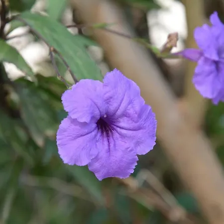 Hotel The Fabric Lounge