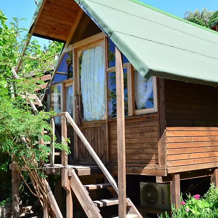 The Fabric Lounge 2* Faralya