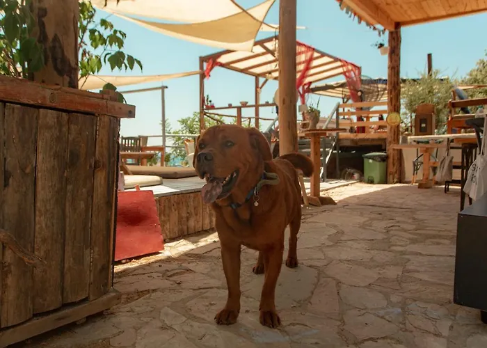 The Fabric Lounge Faralya